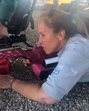 Vice President of PMRPC Maria Wolford